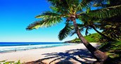 Reunion Island