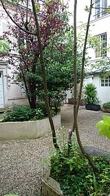 Apartamento Paris 15° - Casa de banho