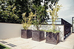 Appartement Yvelines  - Terrasse