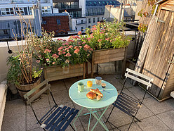 Appartement Paris 2° - Terrasse