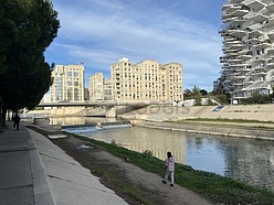 Apartamento Montpellier Centre - Salón